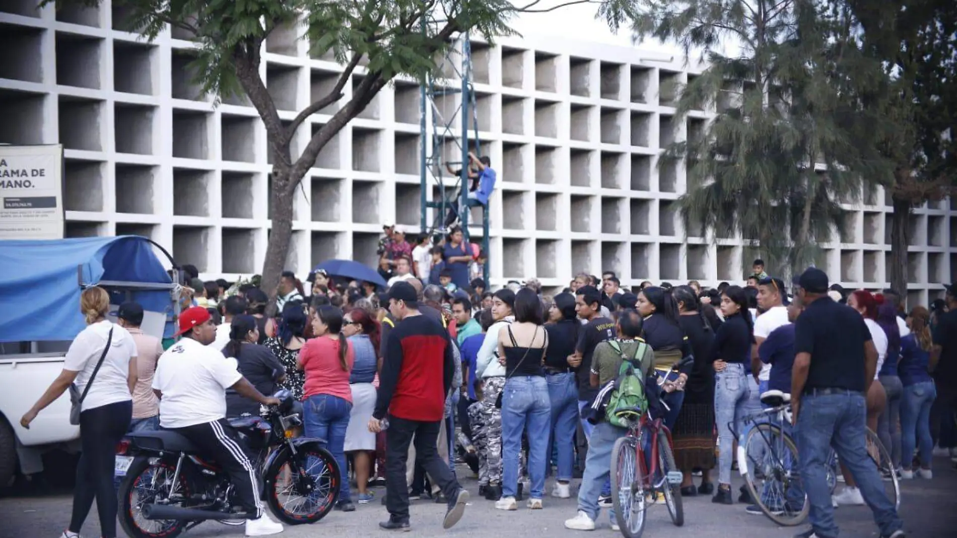 Despedida a familia Anguiano Martínez